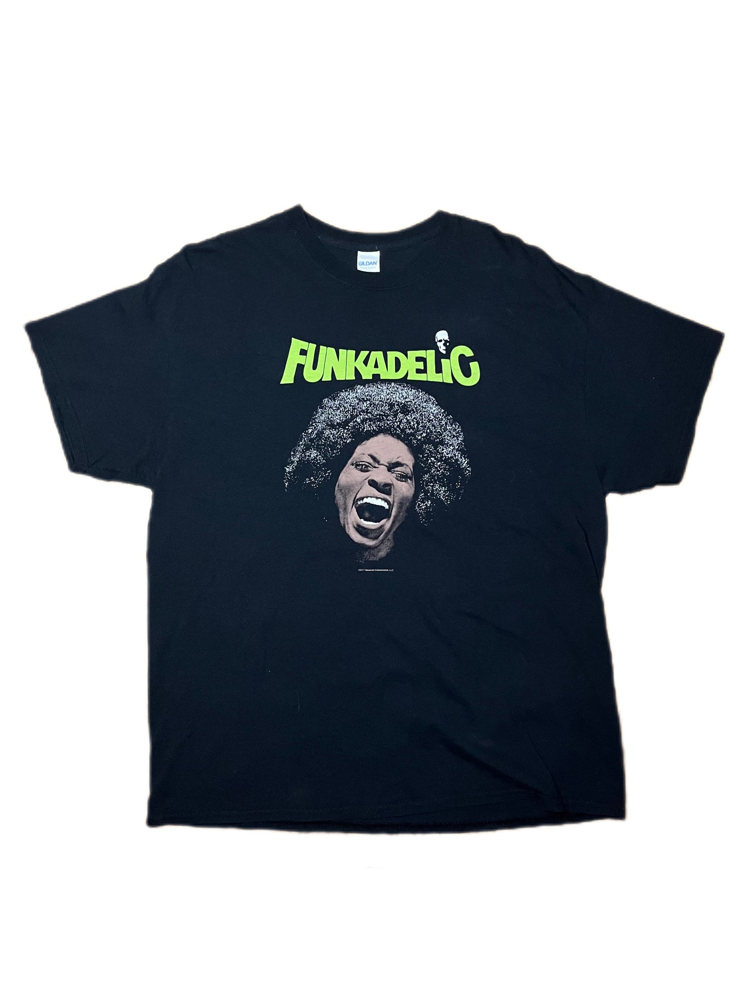 Funkadelic “Maggot Brain”
